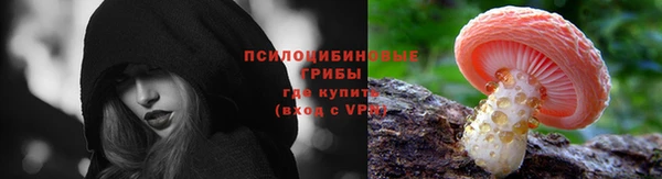 каннабис Белокуриха