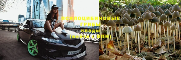 каннабис Белокуриха